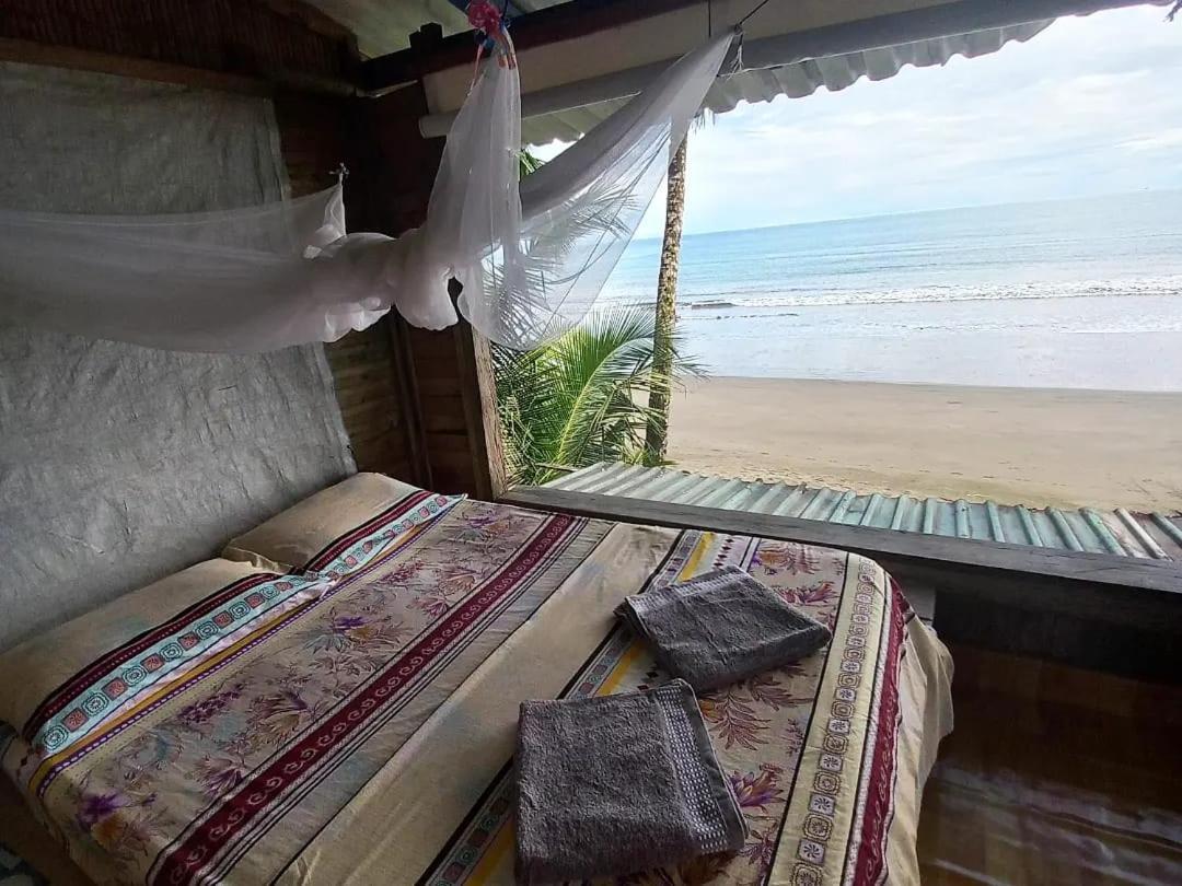 Vive Nuqui Bed & Breakfast エクステリア 写真